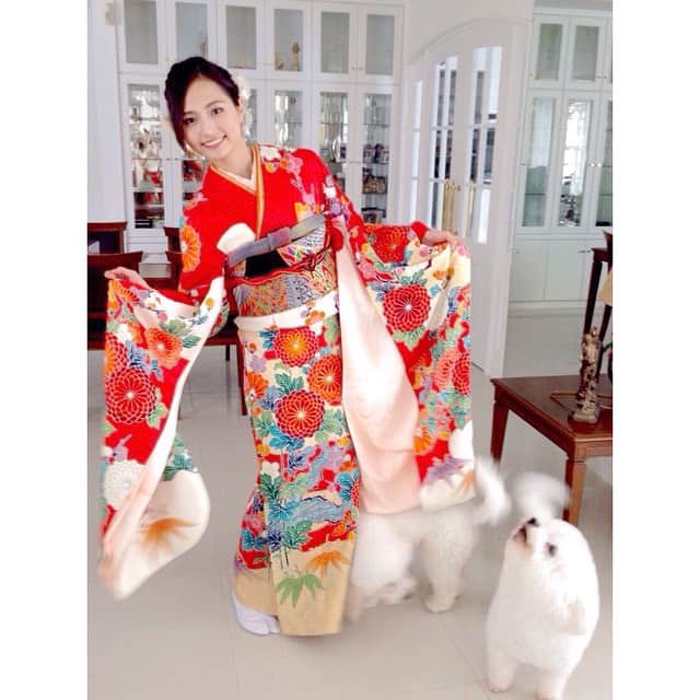 山賀琴子さんのインスタグラム写真 - (山賀琴子Instagram)「わんこ達も祝福してくれた💗 神社でおみくじ引いたら末吉で 『恋愛: 今は駄目です』って書いてあった笑  #japanesestyle#kimono#home#love#thankyou#振袖#着物」1月12日 20時44分 - kotokoyamaga