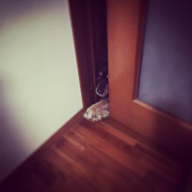 ベティのインスタグラム