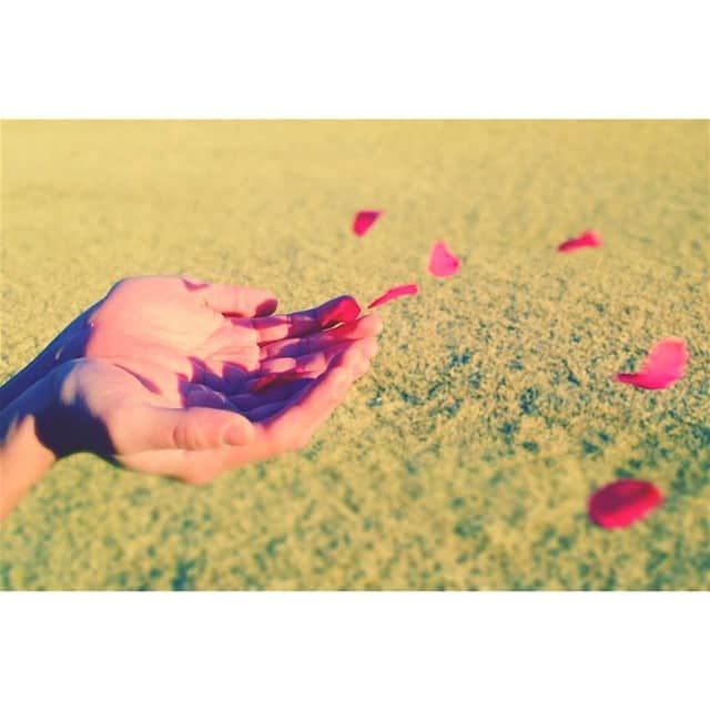 のインスタグラム：「#flower#tokyo  s.j」
