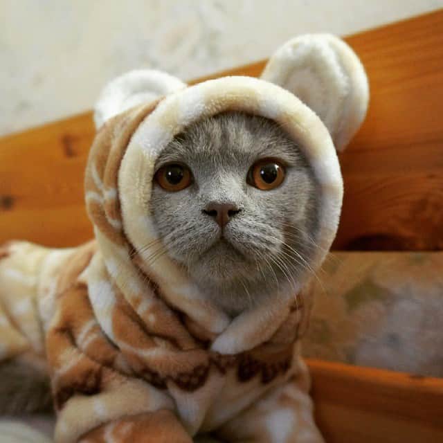 のインスタグラム：「Hiiiiii.. 👋」