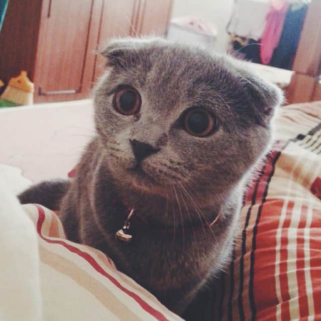 のインスタグラム：「Miss me? Can't wait to meet my bf.」