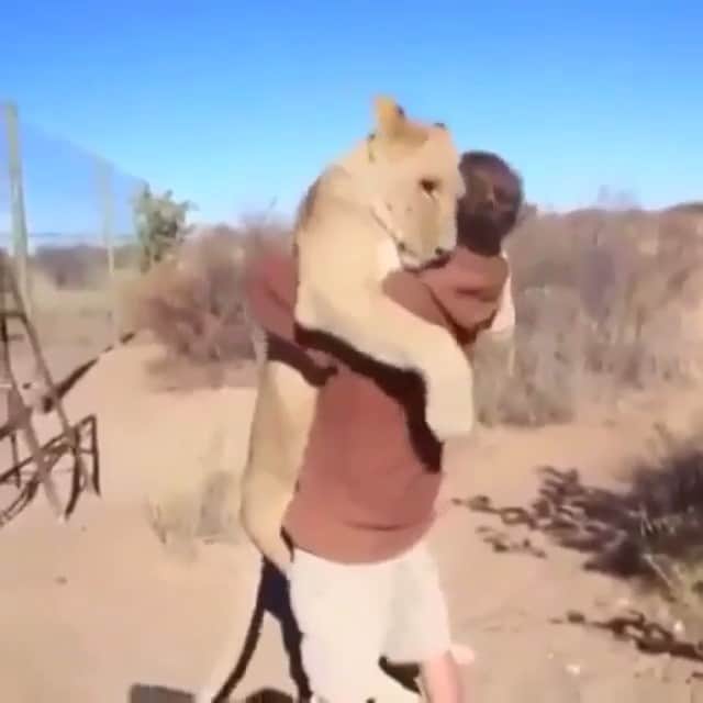 Animalsのインスタグラム：「WOW!😱 VINE vs. VINE!!! ✅ . FOLLOW @TwoVines to see the funniest Vine battles!!! • @TwoVines ✅ @TwoVines ✅ @TwoVines ✅ @TwoVines ✅ @TwoVines ✅ @TwoVines ✅ .」