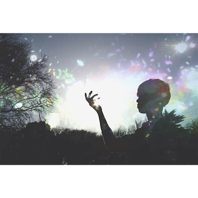のインスタグラム：「ヒカリの宝石を。  #sunset #tokyo #shinjyukugyoen #magicrealism」