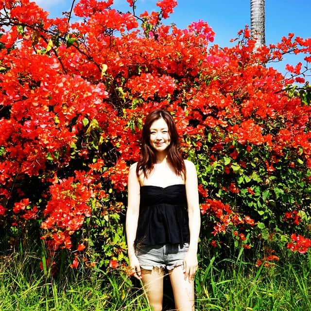 笛木優子のインスタグラム：「暑い。。🍍✨🍧✌️🌺💛」