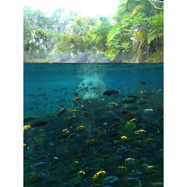カーラ・モナコのインスタグラム：「Two different worlds.」