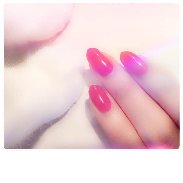 泉里香さんのインスタグラム写真 - (泉里香Instagram)「先を尖らせた キャットポイントなのだにゃฅ( ̳• ·̫ • ̳ฅ)♡ #Nail#cat#Red#beauty #JILL&lovers#ネコ足」3月5日 18時55分 - rika_izumi_