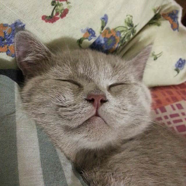 のインスタグラム：「Night night.. 💞💤☁☁」