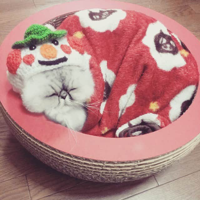 ♡マム♡のインスタグラム：「帰ってきたら雪だるま怒ってた。。。」