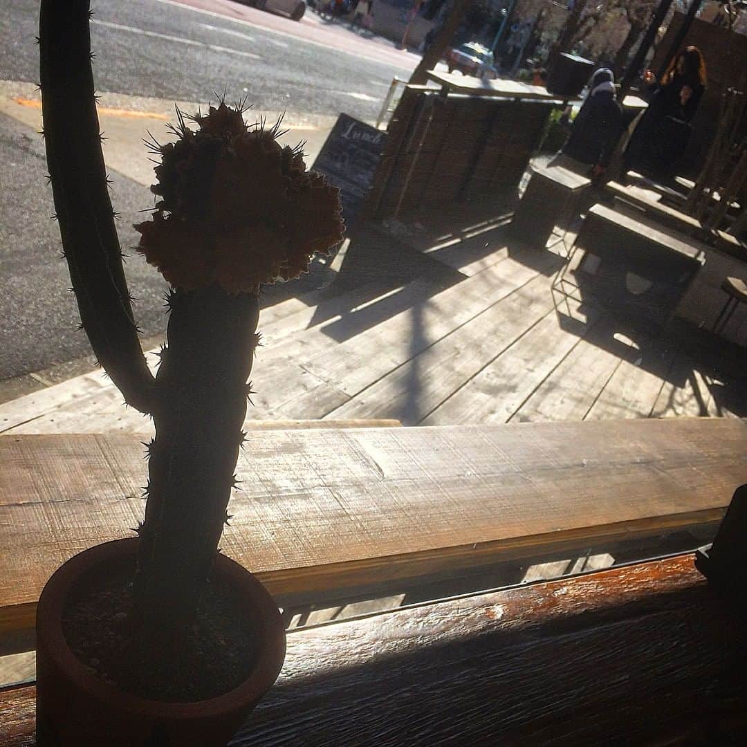 Free Peddler Market/THE DECKのグルメインスタ