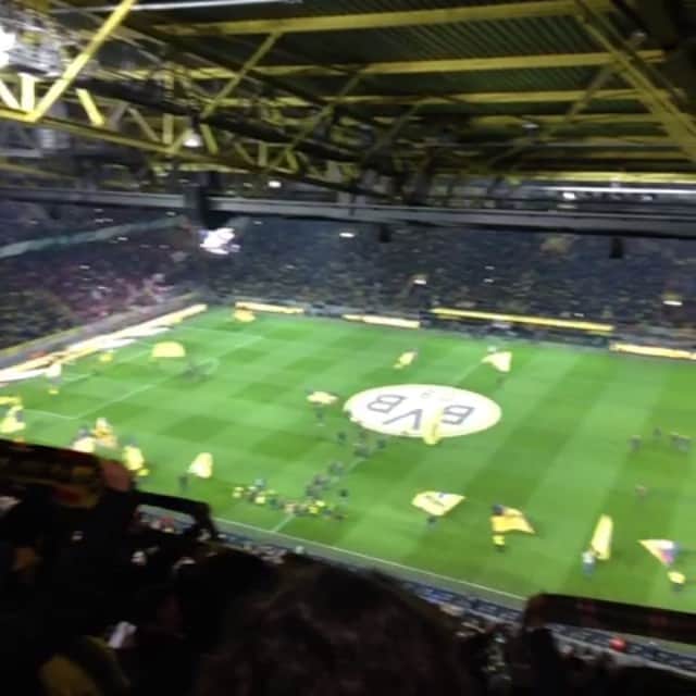 湯浅なるせのインスタグラム：「. . . Dortmund  vs  Mainz ⚽️ . . #durtmund#mainz#香川真司#岡崎慎司#ドイツ」