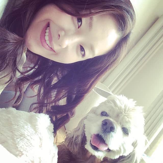 笛木優子のインスタグラム：「おやすみなさい💕😘#アメコ#アメリカンコッカースパニエル #コッカー」