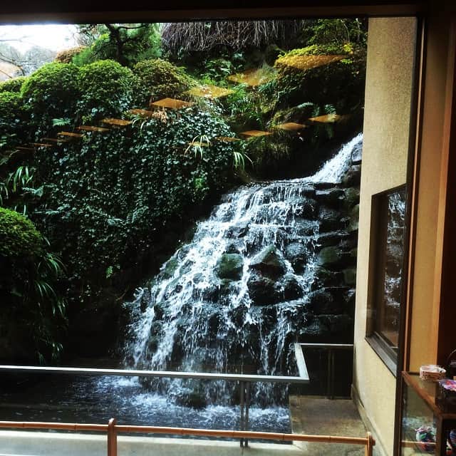 ごあきうえのグルメインスタ