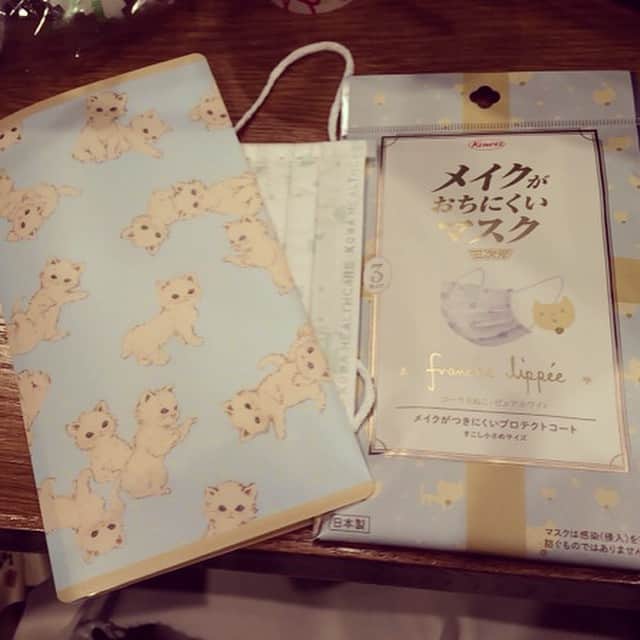 笛木優子のインスタグラム：「かわいいマスクとマスクケース😷😻💙#kowa#コーワ#マスク」
