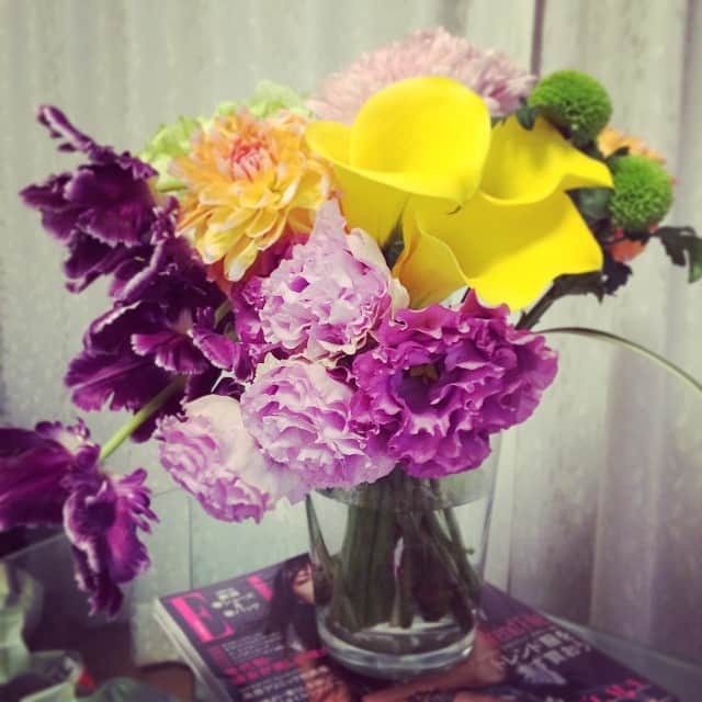 笛木優子のインスタグラム：「夜更かししてしもうた。 good night  잘자용  おやすみなさい。」