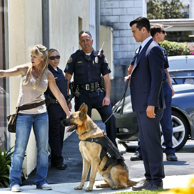 バトル・クリークのインスタグラム：「Making sure the "Mean" streets of #BattleCreek are safe with mans best friend... a police dog! #BehindTheScenes @JoshDuhamel」