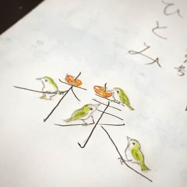 岡田ひとみ（ねんドル）さんのインスタグラム写真 - (岡田ひとみ（ねんドル）Instagram)「母からの手紙に、庭の鳥と、木に添えている蜜柑。 a letter from my mother. #letter #envelope #drawing #mother #art」2月27日 12時54分 - hitomi_nendol