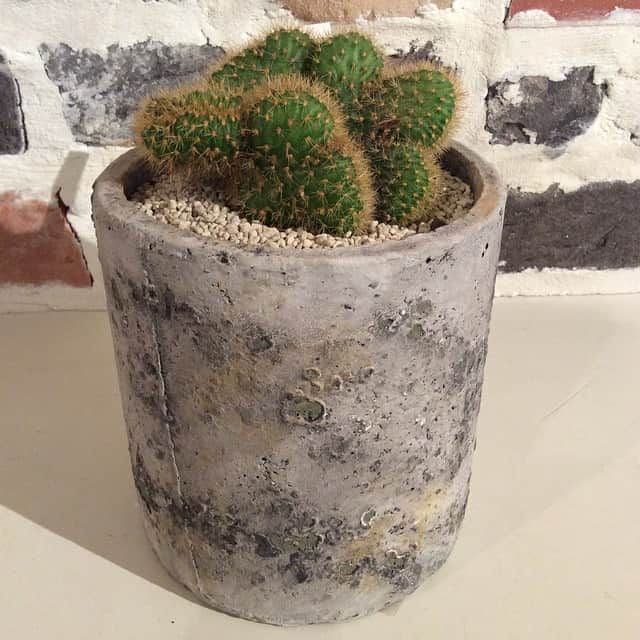 BEAMS ZAKKAのグルメインスタ