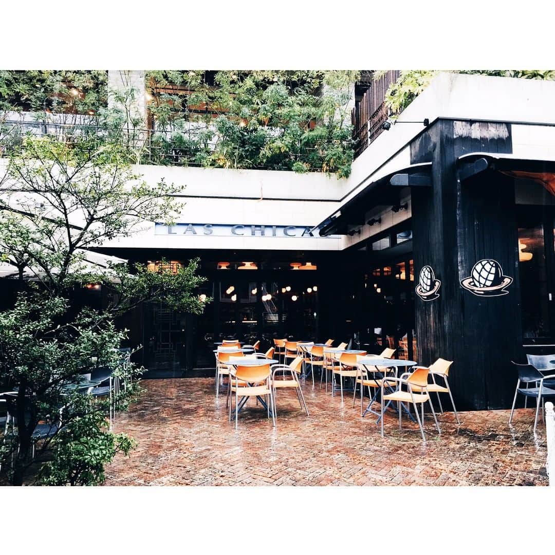 新井椎己のグルメインスタ